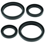 QuadBoss 04-05 Arctic Cat 250 4x4 (2) Front Differential Seal Kit - RV and Auto Parts