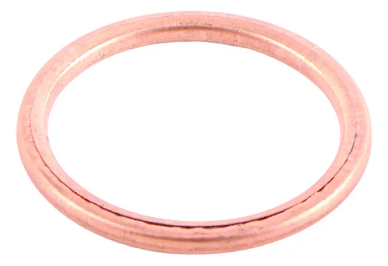 Copper sealing ring from QuadBoss gasket set for Honda TRX450ER engine repair