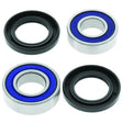 QuadBoss 06-20 Can-Am DS 250 Lower Steering Bearing Kit - Engine Components