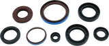 Assorted oil seals for Arctic Cat EFI 4x4 exhaust gasket kit replacement