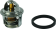 QuadBoss 14-16 Polaris ACE 325 Thermostat - Cooling