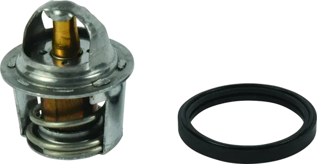 QuadBoss 14-16 Polaris ACE 325 Thermostat - Cooling