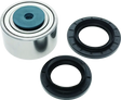 Automotive bearing and seals for Yamaha YXZ1000R EPS rear taper kit