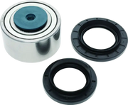 Automotive bearing and seals for Yamaha YXZ1000R EPS rear taper kit