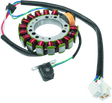 Motorcycle stator with wiring for Yamaha YFM350 Big Bear 2x4 carburetor kit