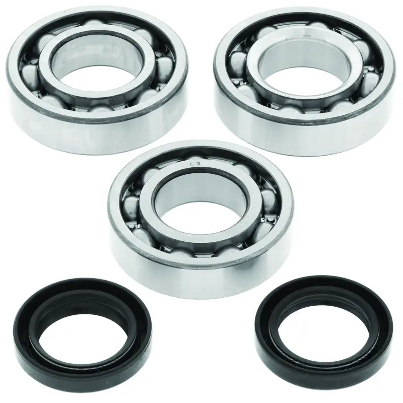 QuadBoss 94-95 Polaris 300 2x4/4x4 Crankshaft Bearing & Seal Kit - RV and Auto Parts