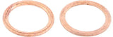 Two copper sealing washers from QuadBoss Exhaust Gasket Kit for durable exhaust sealing