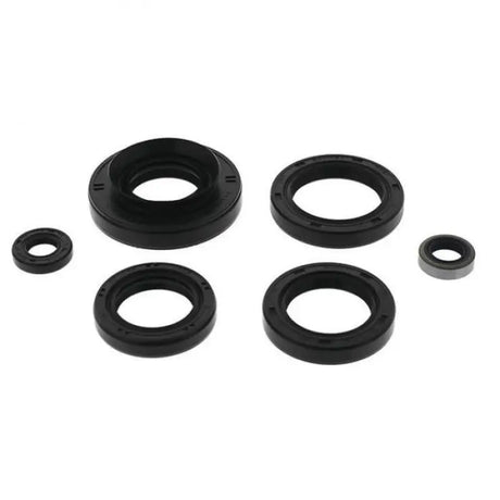Assorted black quadboss oil seal set for engine and machinery applications