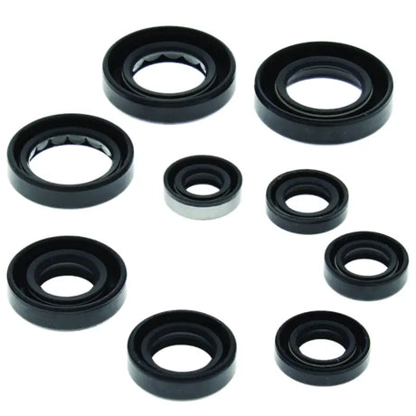Assorted black oil seals from QuadBoss Oil Seal Set for engines and machinery
