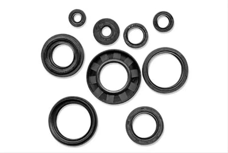 Assorted black rubber oil seals from QuadBoss Qb Oil Seal Set for engine repair
