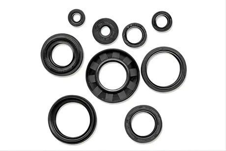Assorted black rubber oil seals from QuadBoss QB Oil Seal Set for motor repair