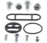 Assorted hardware and gaskets for QuadBoss Qboss Fuel Tap Kit fuel tap replacement