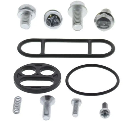 Assorted hardware and gaskets for QuadBoss Fuel Tap Kit - 420550 fuel tap kit