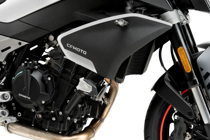 Frame Sliders R19 Black Cfmoto - PUIG