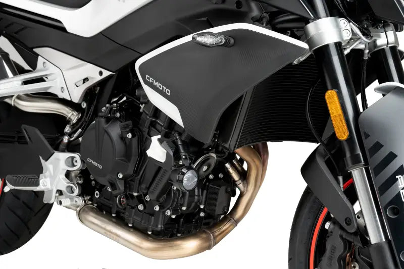 Frame Sliders R19 Black Cfmoto - PUIG