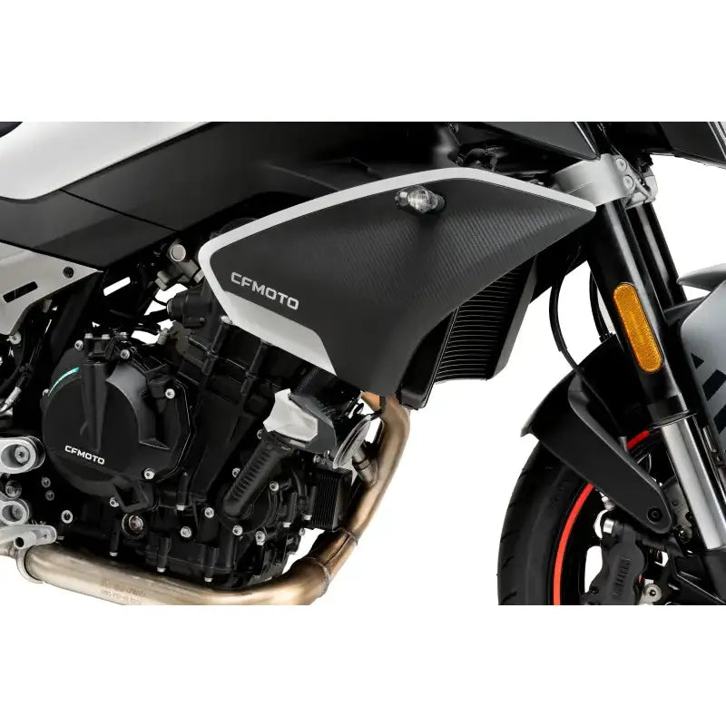 Frame Sliders R19 Black Cfmoto - PUIG