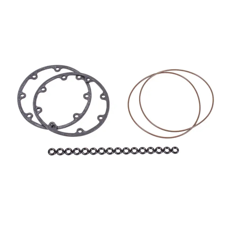 Radium Engineering 20-0087 Radium Engineering Fuel Surge Tank O-Ring Service Kit