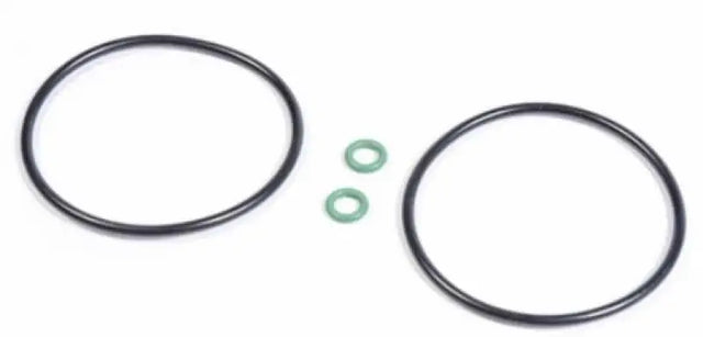 Radium Engineering Radium Engineering Catch Can O-Ring Service Kit