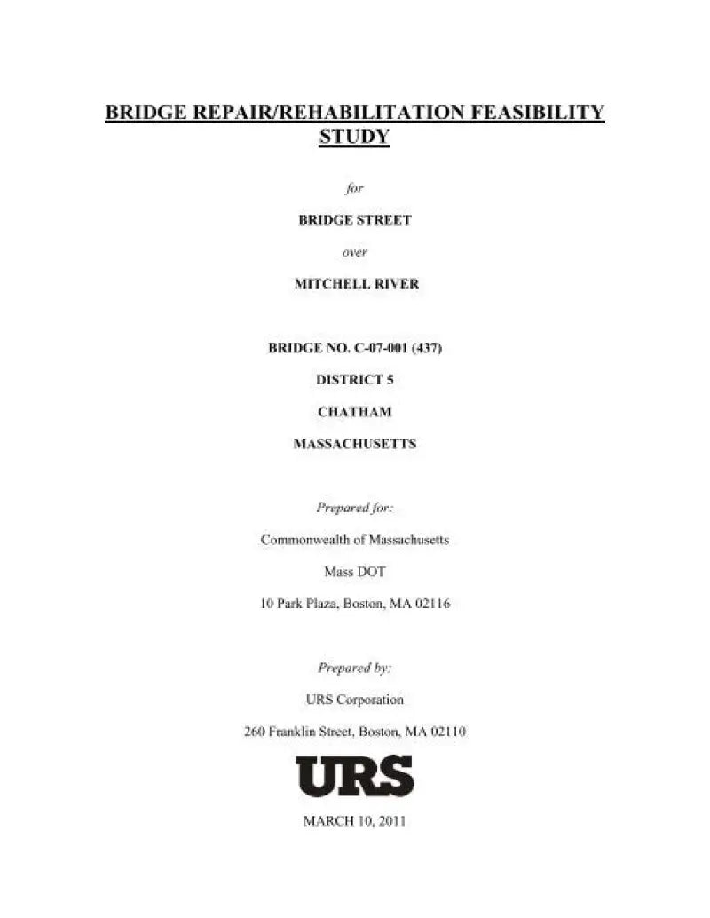 Rale Industries 02110 Shock Extender Inner Race - Suspension