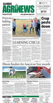 Rale Industries 99604 Sprocket-520 - 17 - Sprockets