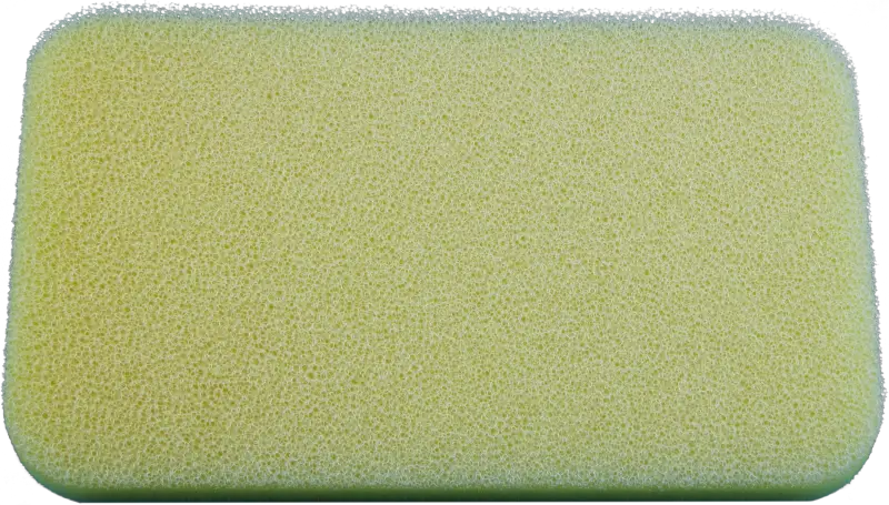 Raptor 110 2024 2025 Dry - NO TOIL