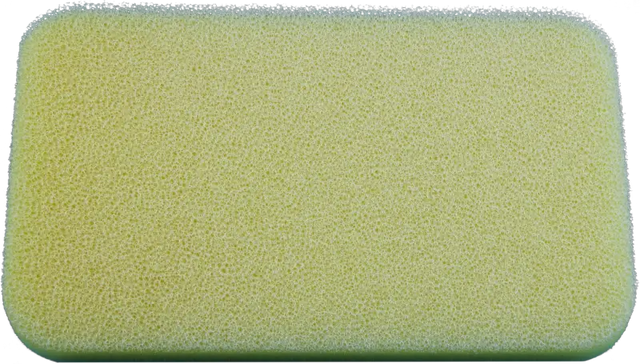 Raptor 110 2024 2025 Dry - NO TOIL