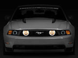 Gray Ford Mustang with illuminated LED halo fog lights in chrome for a sleek look