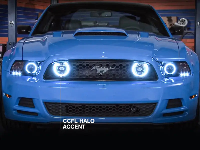 Blue Ford Mustang with smoked ccfl halo fog lights and halo fog lights for a cool look