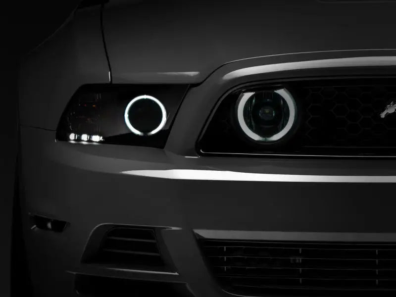 Gray car with smoked ccfl halo fog lights and halo fog lights for that sleek look