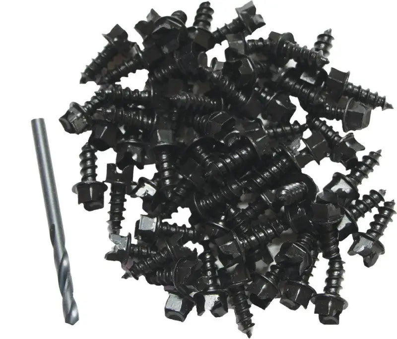 RBT100-BK Spg 60/Pk Traction Screw Kit - RV and Auto Parts