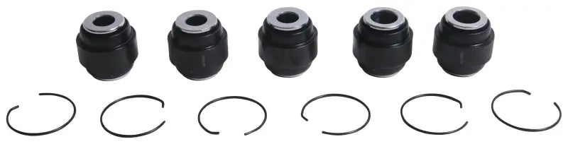 Rear Independent Susp Kit 