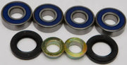 ALL BALLS Rear Independent Suspension Kit for Powersports