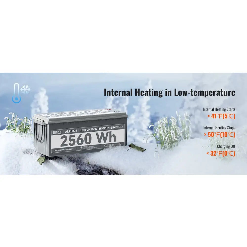 Rich Solar RS-B122S Battery