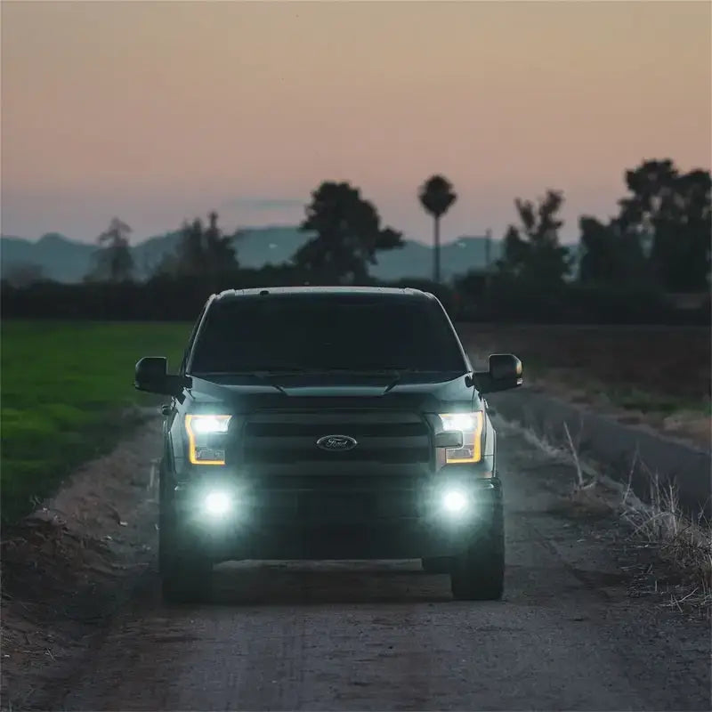 Rigid Industries D-Series SAE Fog Yellow/White Pair - Truck & Automotive