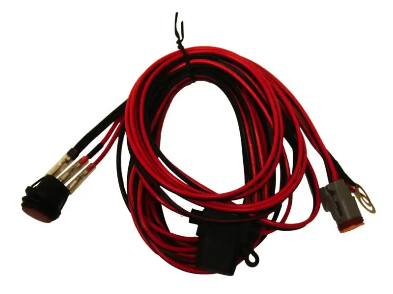 Rigid Industries Harness used for 4in/ 6in/ Single Dually/ D2 - Truck & Automotive