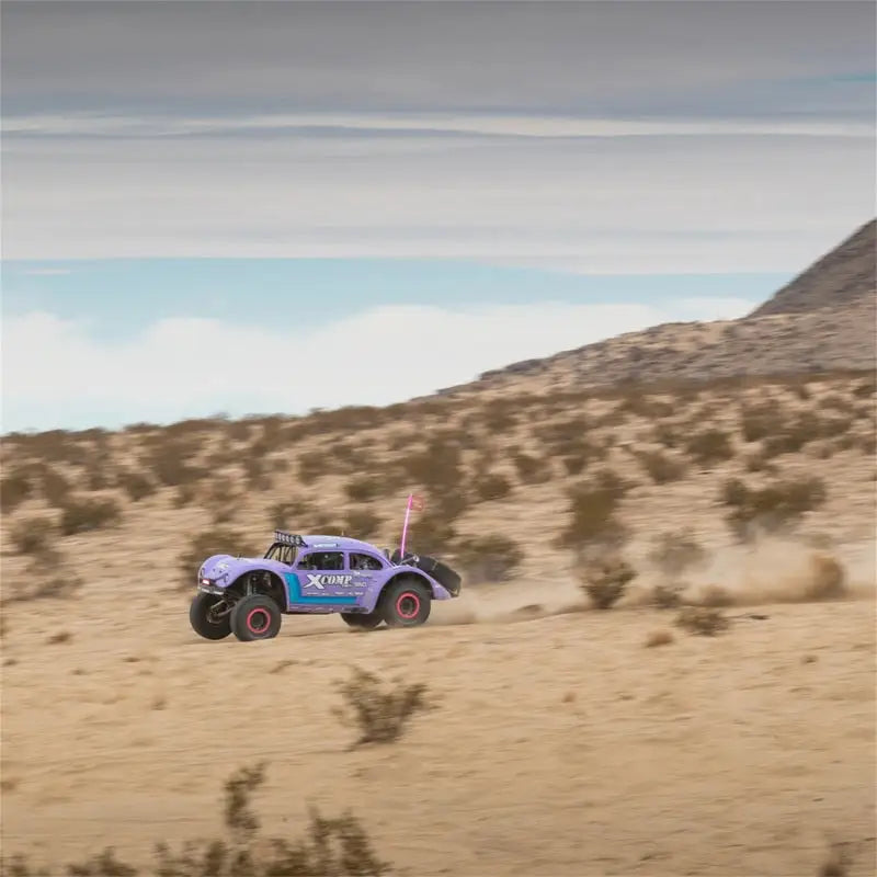 Purple Rigid Industries x SHREDDY 360-Series off-road buggy with lights