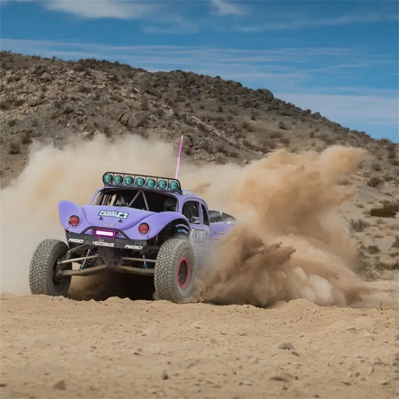 Purple Baja Bug with Rigid Industries x SHREDDY 360-Series lights