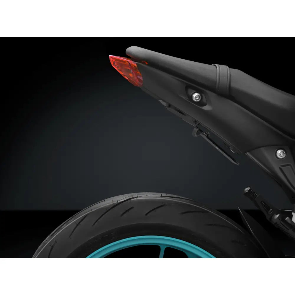 Rizoma Flat-Out Fender Eliminator Body PTU033B
