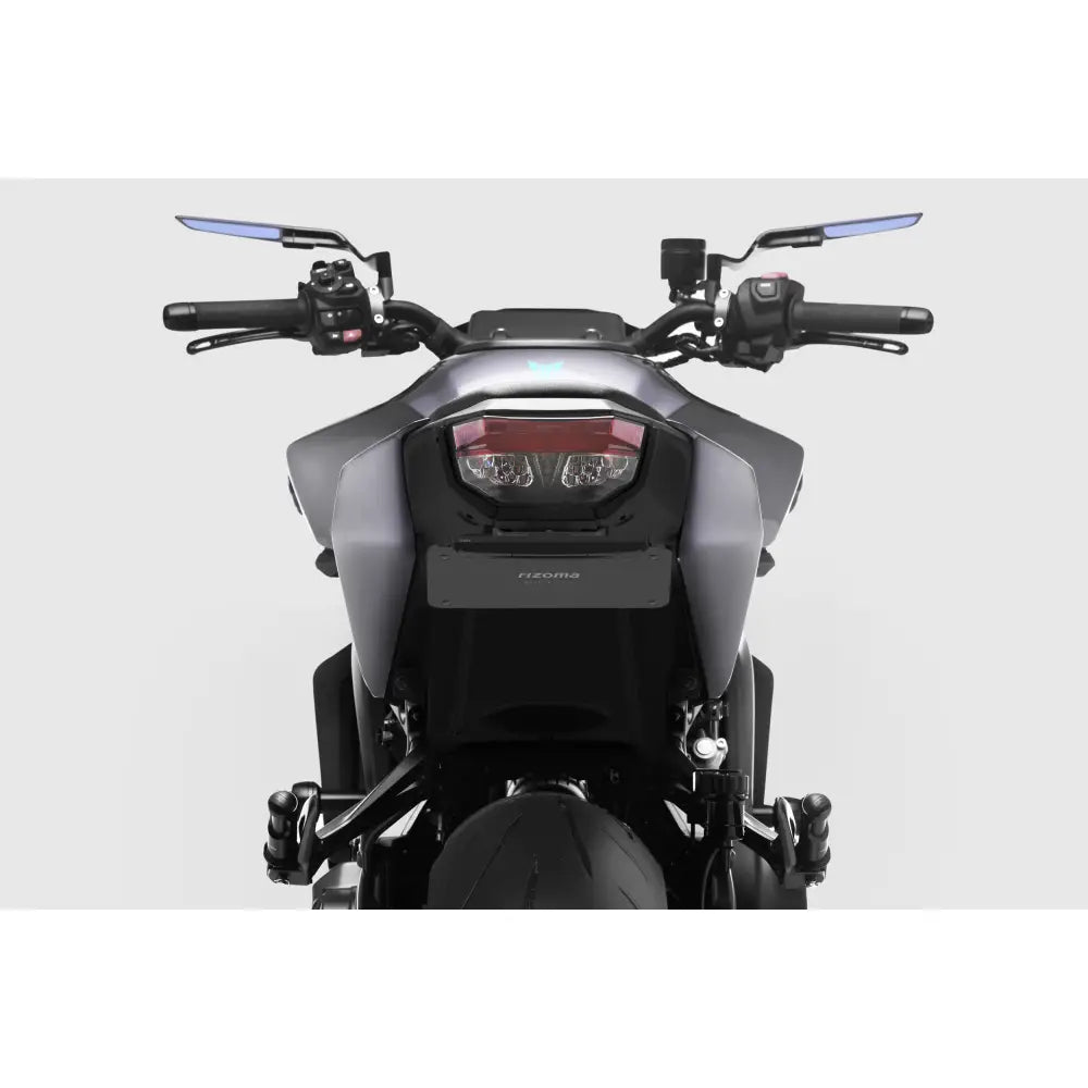Rizoma Flat-Out Fender Eliminator Body PTU034B