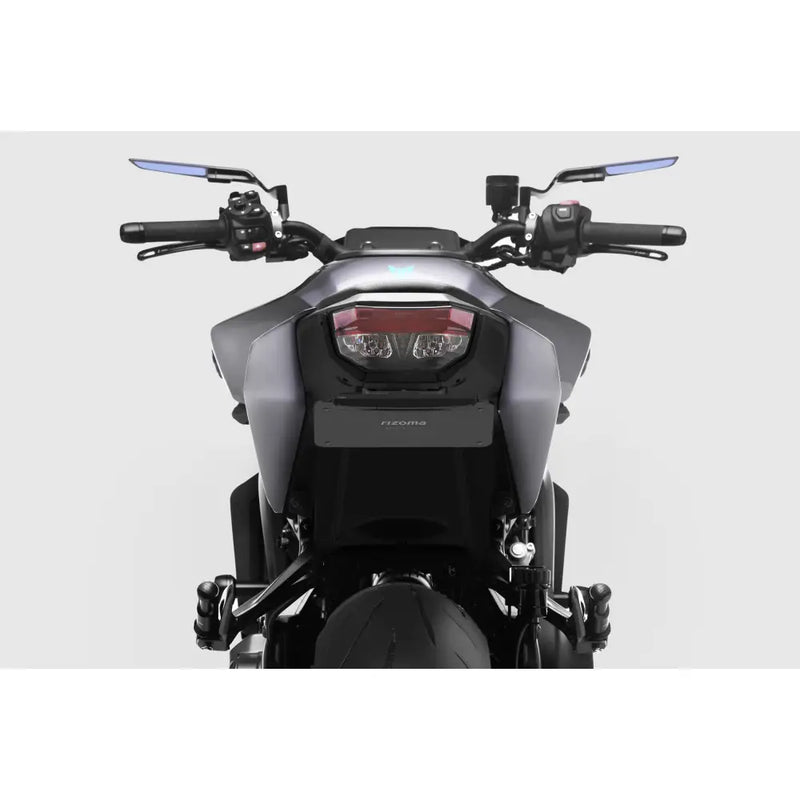 Rizoma Flat-Out Fender Eliminator Body PTU034B