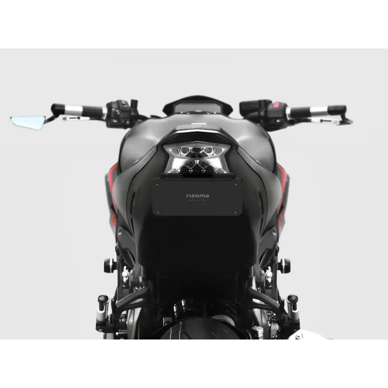 Rizoma Flat-Out Fender Eliminator Body PTU051B