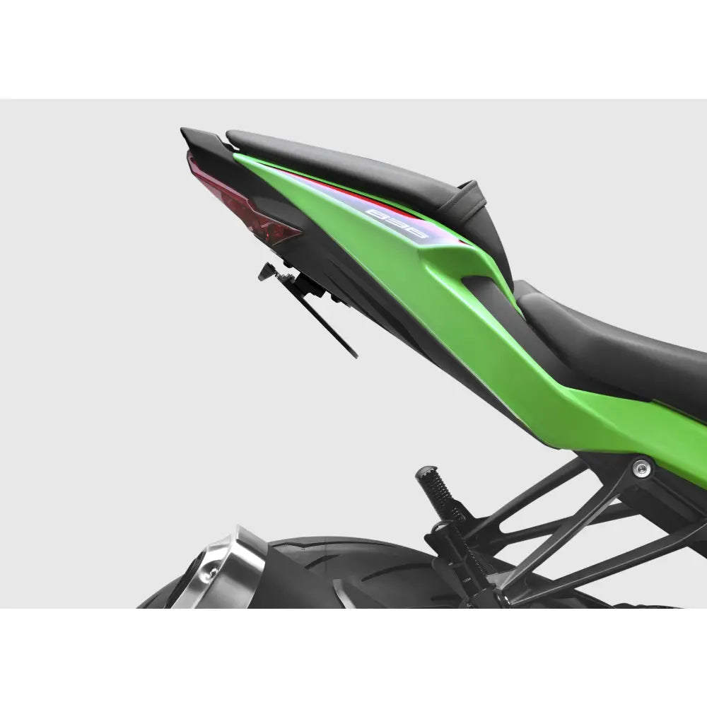 Rizoma Flat-Out Fender Eliminator Body PTU052B