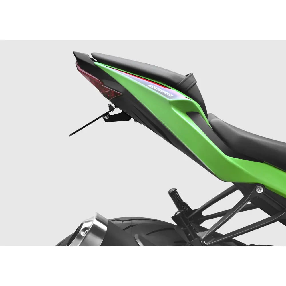 Rizoma Flat-Out Fender Eliminator Body PTU052B