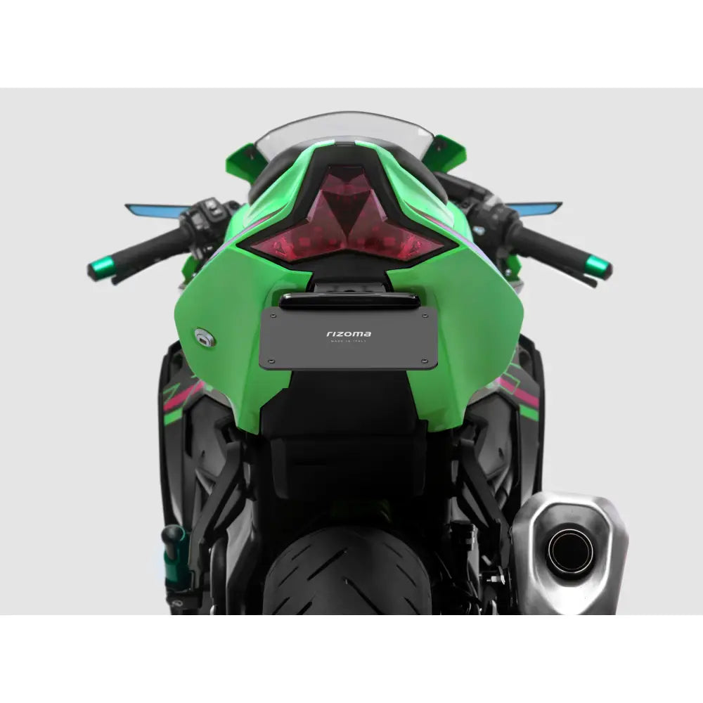 Rizoma Flat-Out Fender Eliminator Body PTU053B