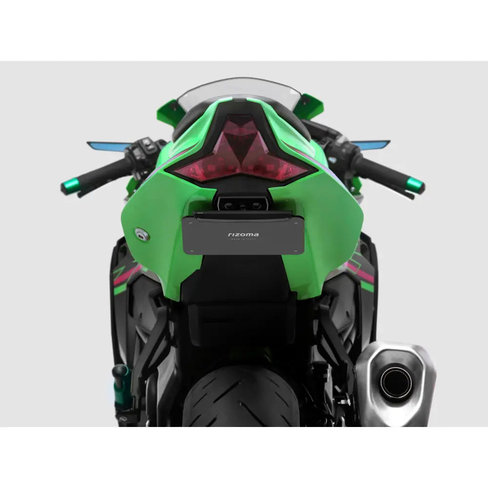 Rizoma Flat-Out Fender Eliminator Body PTU053B