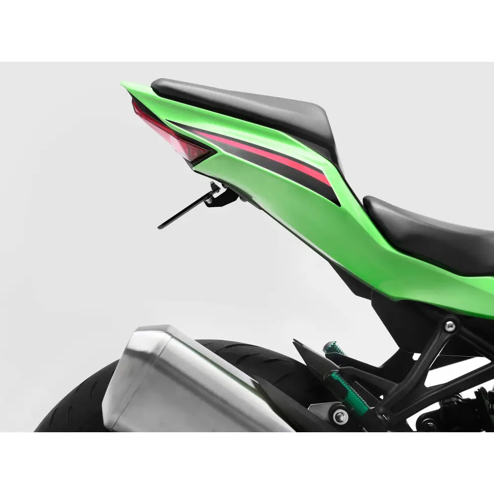 Rizoma Flat-Out Fender Eliminator Body PTU053B