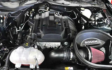 Roush 421827