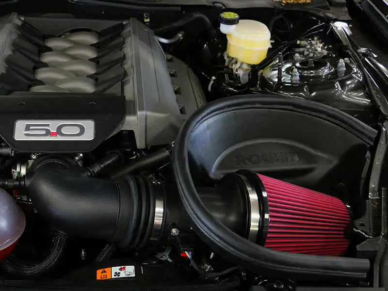Roush 421826