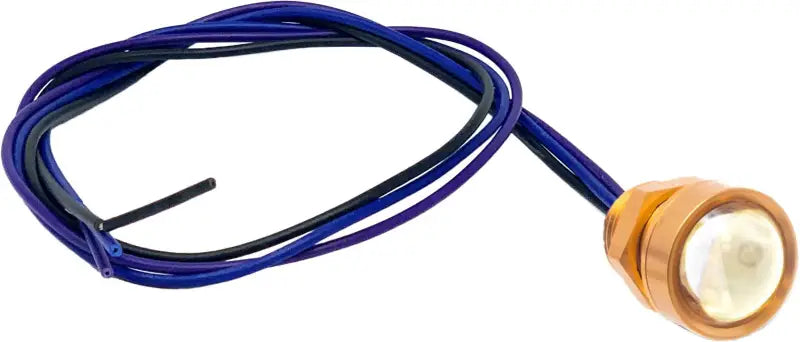 LETRIC LIGHTING CO LLC-RFGS-RR