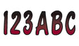 RUBKG200 Series 200 Registration Kit (Burgundy/Black)